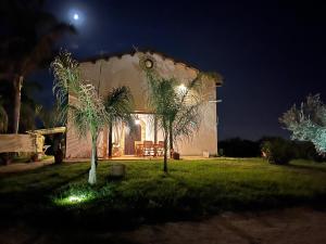 马尔扎梅米La casetta di Tina的庭院里棕榈树的夜晚房子