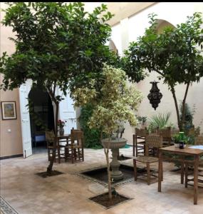 马拉喀什Hostel Laksour的两棵树,房间带桌椅