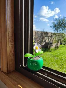 蒙特卡洛Tiny House Nativa的绿花瓶,花在窗户里