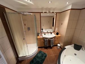 布拉格老城区公寓的带淋浴、卫生间和盥洗盆的浴室