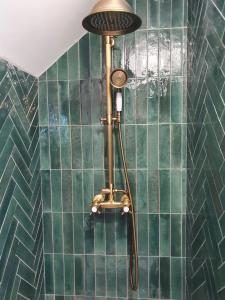 布吕兹Le Cœur d’Artichaut by Madame Conciergerie的浴室铺有绿色瓷砖,设有淋浴。