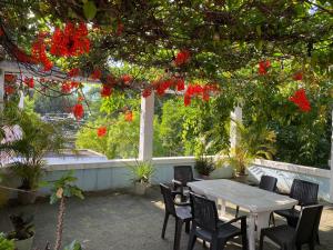圣萨尔瓦多Hostal Cumbres del Volcan Flor Blanca的树下红色花朵下的桌椅