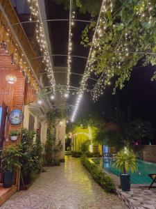 宁平Tam Coc Viet Ha Homestay的一个带灯光的庭院和夜间游泳池