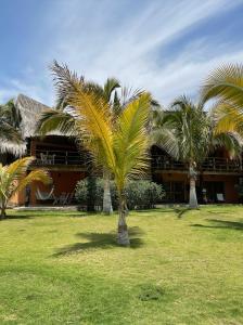 曼克拉La Casa de Pitty的一群棕榈树在一座建筑前