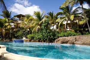 佩雷贝勒Hibiscus Boutique Hotel的棕榈树度假村前的游泳池
