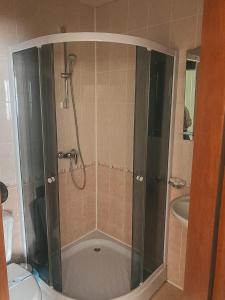 德拉格布拉特Crocus的带淋浴和浴缸的浴室