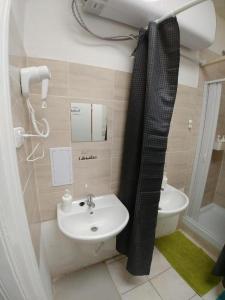 布尔诺ApartHostel Brno的一间带水槽和淋浴帘的浴室