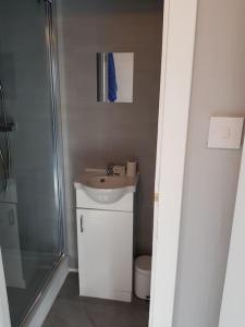阿维莫尔Craigellachie Cabin的浴室配有卫生间、盥洗盆和淋浴。