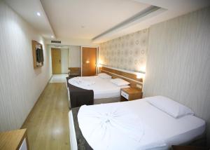伊斯肯德伦巴亚兹特酒店的酒店客房设有两张床和电视。