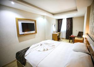 伊斯肯德伦巴亚兹特酒店的酒店客房,配有床和电视