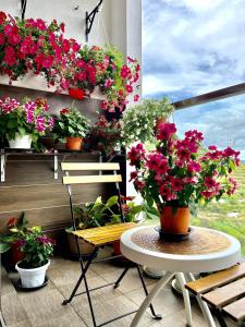 丹那拉打Kensington Sunrise at Sg Palas,PalasHorizon的阳台种有盆栽花卉,配有桌椅