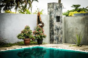 Paiyagala SouthInfinity of Sri Lanka的游泳池旁的两株盆栽植物