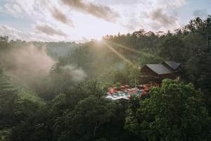 帕洋安Buahan, a Banyan Tree Escape的森林中度假胜地的空中景色,阳光灿烂