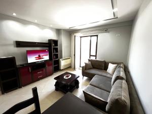 地拉那Grande Veranda 2的带沙发和平面电视的客厅