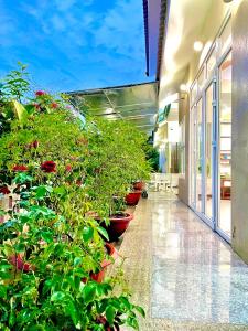 Thôn Mỹ PhướcLa Vie En Rose的建筑中带有盆栽植物的走廊
