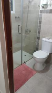 圣多明各Altos de Alemeda, Santo Domingo Oeste的一间带卫生间和玻璃淋浴间的浴室