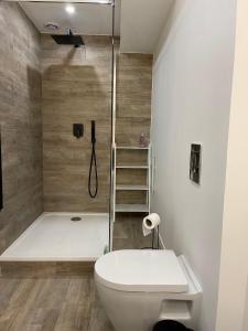 克莱蒙费朗L’Oradou - Neuf - Tout équipé - Parking - Wifi的带淋浴、卫生间和淋浴的浴室