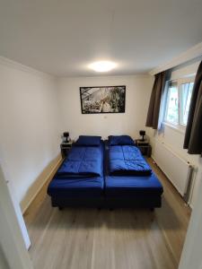 贝克贝亨Huisje Weltevree met hottub的一间卧室配有一张带蓝色枕头的床