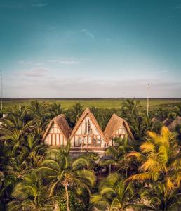 图卢姆图卢姆拉瓦莱斯酒店的棕榈树环绕的房子的空中景色