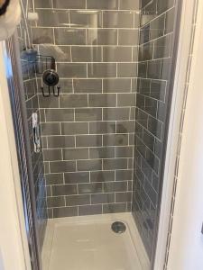 彭布罗克郡Adorable bedsit for you, partner and your pet!的浴室设有灰色瓷砖淋浴。