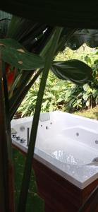 佩雷拉Tierra Negra Suite的花盆旁的白色浴缸