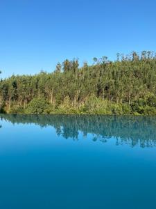 阿尔库什迪瓦尔德维什Quinta do ribeiro的享有背景树木的湖泊美景