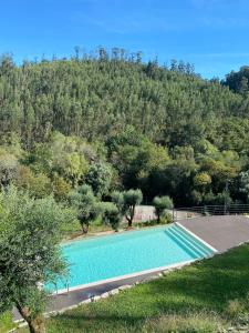 阿尔库什迪瓦尔德维什Quinta do ribeiro的一个空的游泳池,背景是一座山