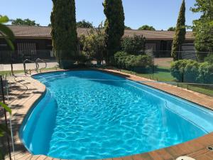 达博乡村公寓的一座绿树成荫的蓝色游泳池