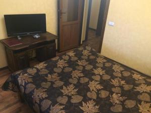 PisarevkaPan Otaman的酒店客房配有一张床、一张书桌和一台电视。