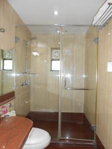 加尔各答O2贵宾酒店的一间带玻璃淋浴和卫生间的浴室