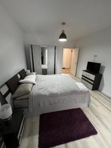 雅西Apartament de lux intr-o zona rezidentiala linistita的一间卧室配有一张大床和一张沙发