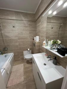 雅西Apartament de lux intr-o zona rezidentiala linistita的一间带水槽、卫生间和镜子的浴室