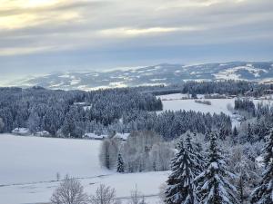 诺伊赖歇瑙Panorama Bayerwald的享有带树木的雪地景致