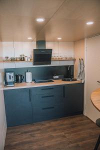 阿卢克斯内PullanHouse Līksma - small and cosy lakeside holiday house的厨房配有蓝色橱柜和水槽