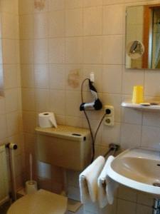 Bad Bodenteich祖姆阿尔腾里特餐厅酒店的一间带水槽、卫生间和镜子的浴室
