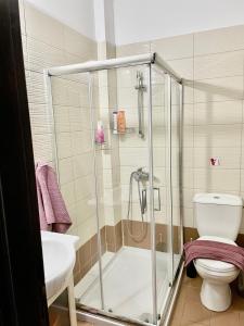 拉纳卡Cyprus Penelope的带淋浴、卫生间和盥洗盆的浴室