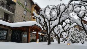 埃斯波特索拉特酒店的建筑物前的雪覆盖的树