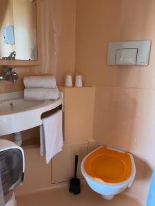 圣莫尔沙托鲁 - 圣莫尔普瑞米尔经典酒店的浴室设有橙色卫生间和水槽。