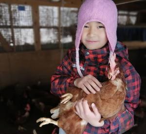 高岛市くつき鯖街道 古民家cocco小入谷的一只小女孩在谷仓里养鸡