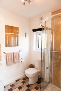 HallinAn Cala Beag Self Catering apartment on The Waternish Peninsula的一间带卫生间和玻璃淋浴间的浴室