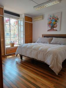 圣地亚哥Casona Lorena的一间卧室设有一张大床和一个大窗户