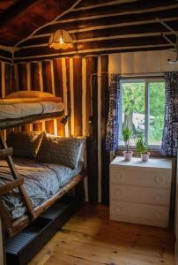 OmpahCedar Cabin - North Frontenac Lodge的客房设有两张双层床和一扇窗户。