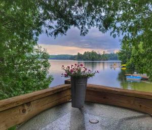 OmpahCedar Cabin - North Frontenac Lodge的花瓶,坐在湖边的围栏上