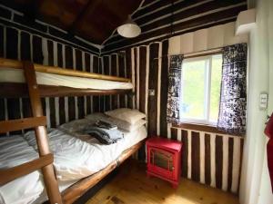 OmpahCedar Cabin - North Frontenac Lodge的一间卧室设有两张双层床和一扇窗户。
