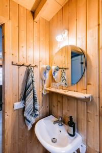 米湖希尔德度假屋的一间带水槽和镜子的浴室