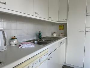 阿斯科纳Ascona: San Materno-Mary的厨房配有白色橱柜和水槽
