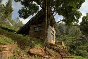 KolakambeO'Land Plantation的山坡上树屋