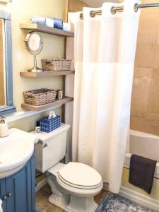 圣彼得堡RETRO RETREAT in DTSP - Explore the downtown area的一间带卫生间和淋浴帘的浴室