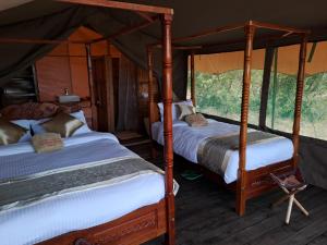 Tayari Luxury Tented Camp - Mara客房内的一张或多张床位