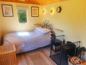 博德明Safari Cornwall的一间小卧室,配有床和窗户